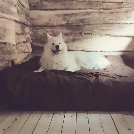 La Cabane Aux Loups Crépy-en-Valois Exterior foto