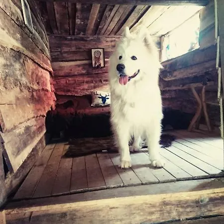 La Cabane Aux Loups Crépy-en-Valois Exterior foto