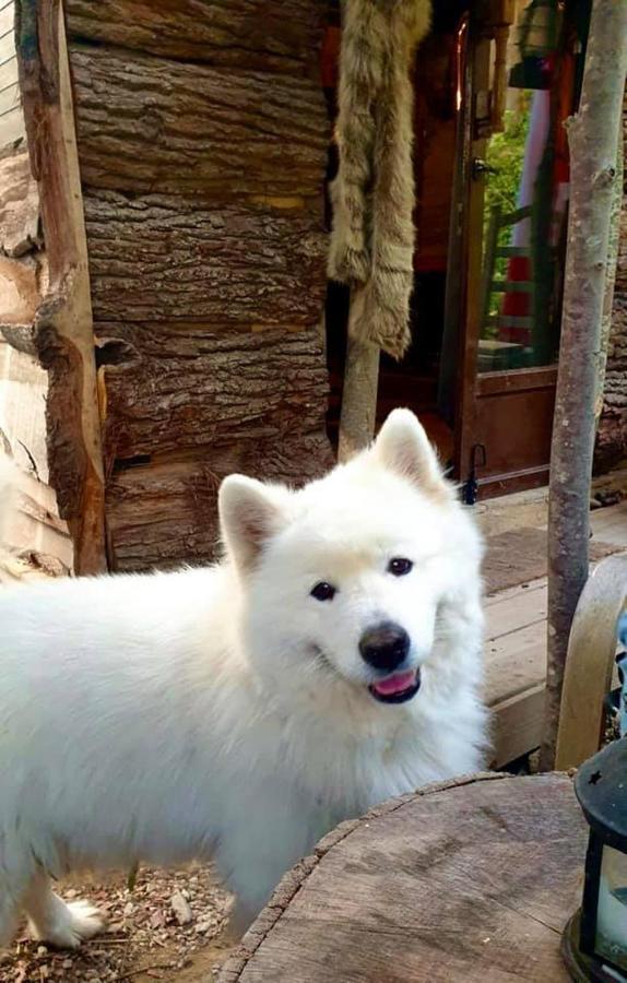 La Aux Loups Chalet Crepy-en-Valois