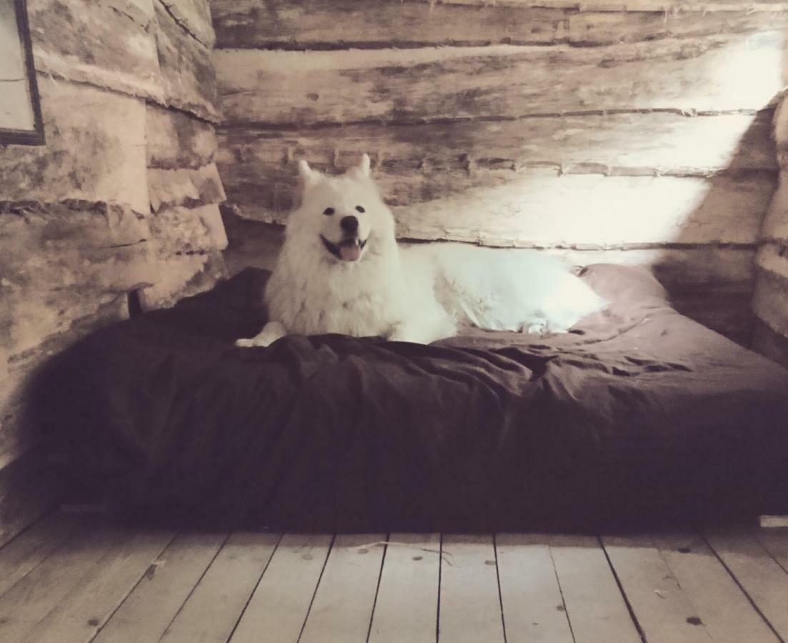 Chalet La Aux Loups