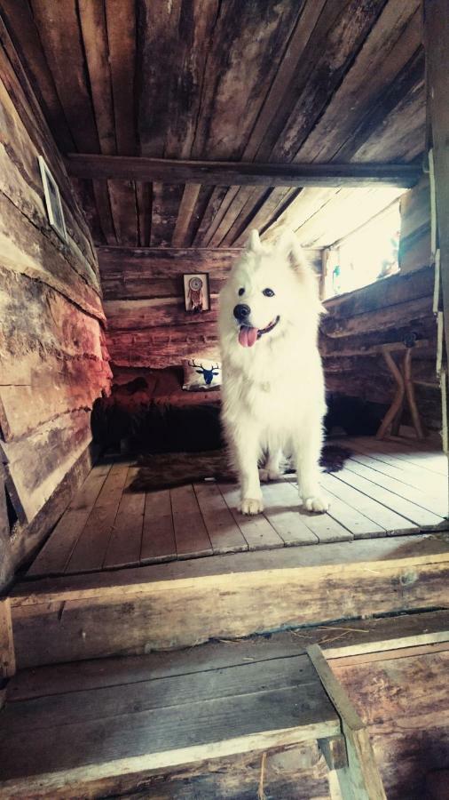 La Aux Loups Chalet Crepy-en-Valois